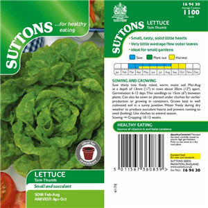Lettuce Tom Thumb